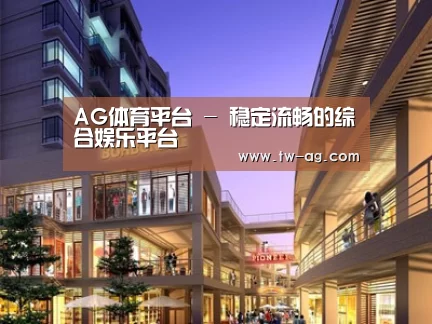 案例展示一