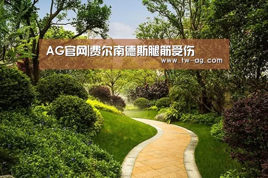 AG官网|费尔南德斯腿筋受伤(图1) AG平台