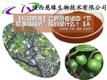 【与你有关】公务员考试中“下层事情履历”指的是什么?【AG娱乐】(图3) AG娱乐