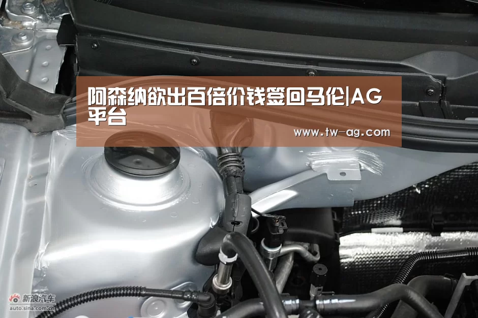 阿森纳欲出百倍价钱签回马伦|AG平台(图1) AG平台